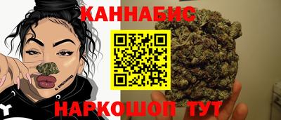 индика Нижний Тагил