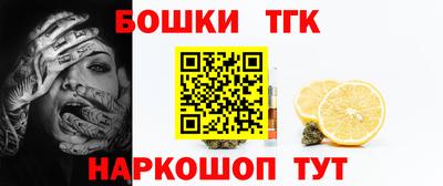 индика Нижний Тагил
