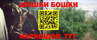 индика Нижний Тагил