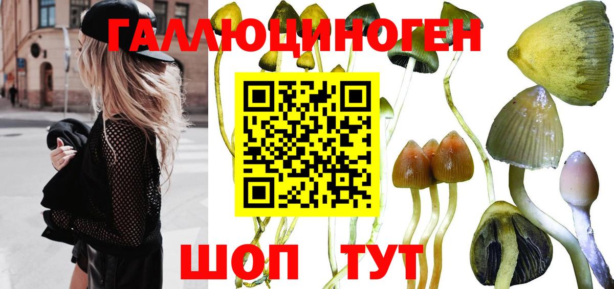 Псилоцибиновые грибы мицелий Астрахань